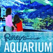 Ripleys Aquarium Myrtle Beach